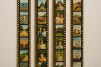 Videoeditor ohne Anmeldung – Auf der Timeline anordnen